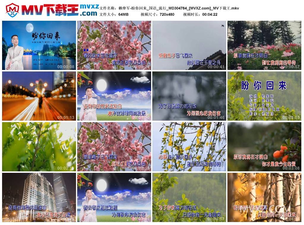 赖仲军-盼你回来_国语_流行_MD304784